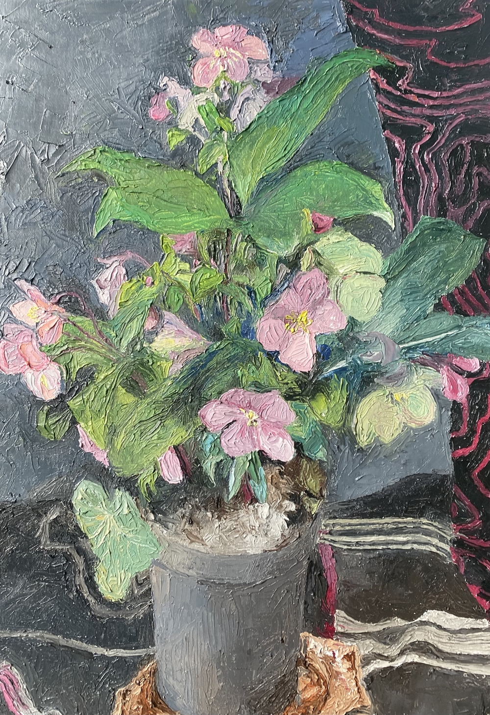 Pink Hellebore  by Jill Langford